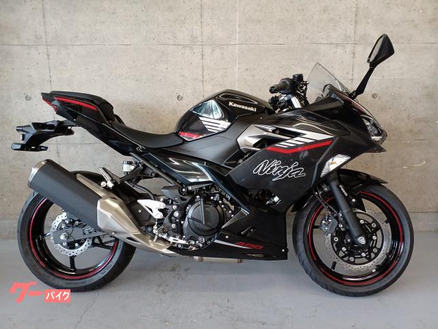 Ｎｉｎｊａ　４００