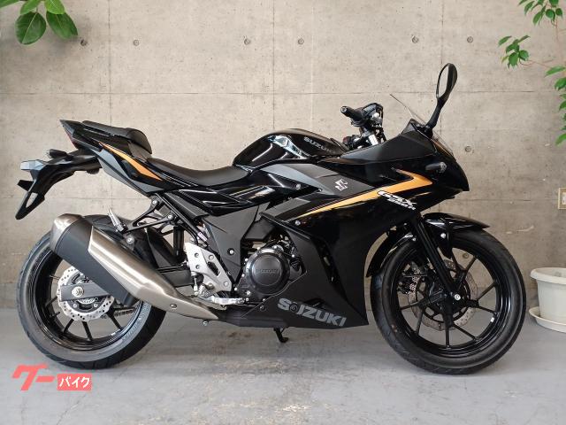 ＧＳＸ２５０Ｒ