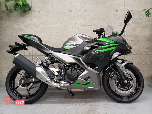 Ｎｉｎｊａ　４００