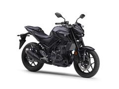 ヤマハ　ＭＴ−０３（３２０ｃｃ）