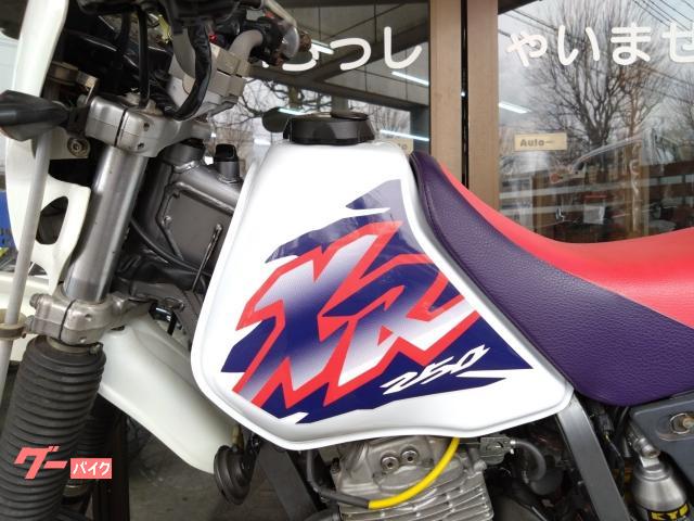 ホンダ XR250 MD30 17インチ PJキャブレター テーパー