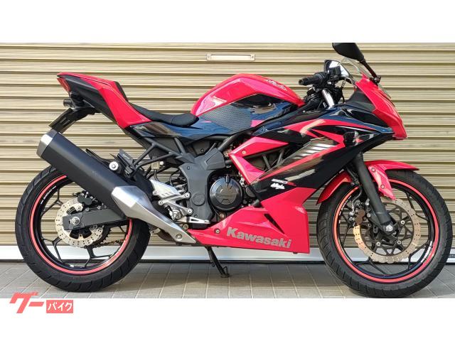 Ｎｉｎｊａ　２５０ＳＬ　レッド／ブラック