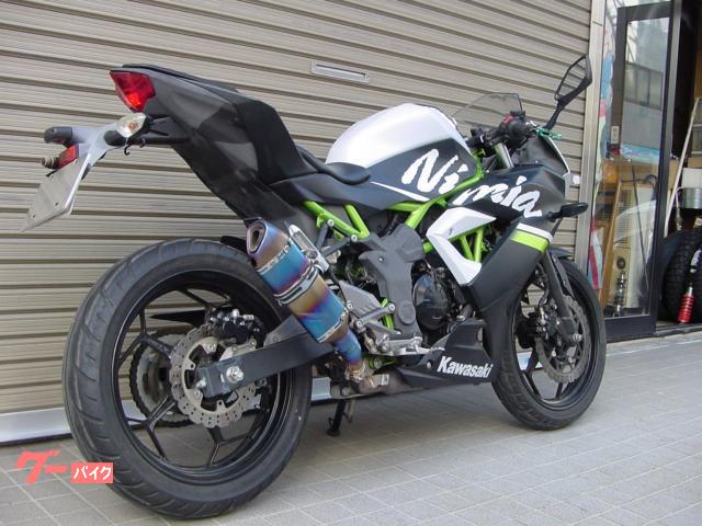 払い戻し カワサキ「ZXR250（ZX250A）」（1989年）｜レプリカ分野の遅れを帳消し