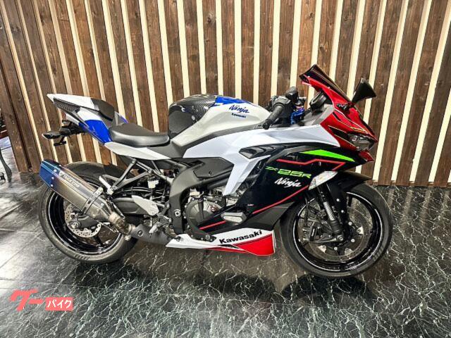 Ｎｉｎｊａ　ＺＸ−２５Ｒ　オリジナル外装