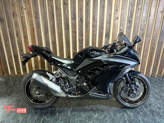 Ｎｉｎｊａ　２５０