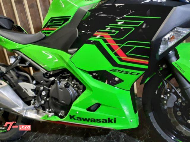 カワサキ Ninja 250 ETC マルチバー スマホホルダー USB 