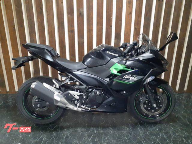Ｎｉｎｊａ　２５０