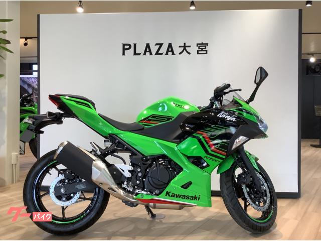 Ｎｉｎｊａ　２５０