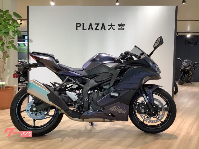 Ｎｉｎｊａ　ＺＸ−２５Ｒ　ＳＥ