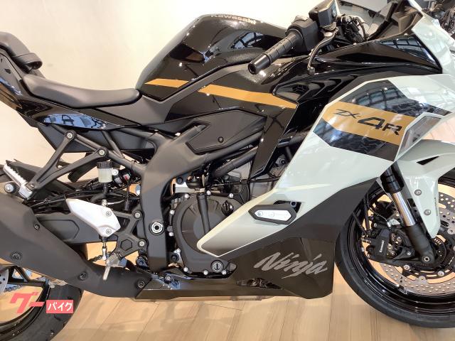 さくちゃん　ラジャー1050P グレージュNA Amazon | Ninja ZX-4RR ZX-4R 2023年 スリップオンマフラー