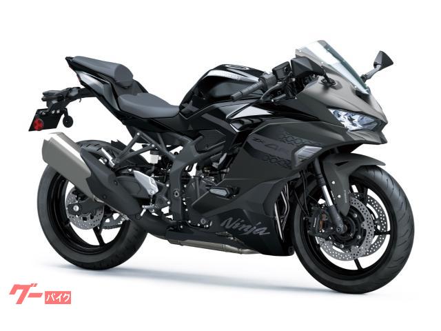 Ｎｉｎｊａ　ＺＸ−４Ｒ　ＳＥ