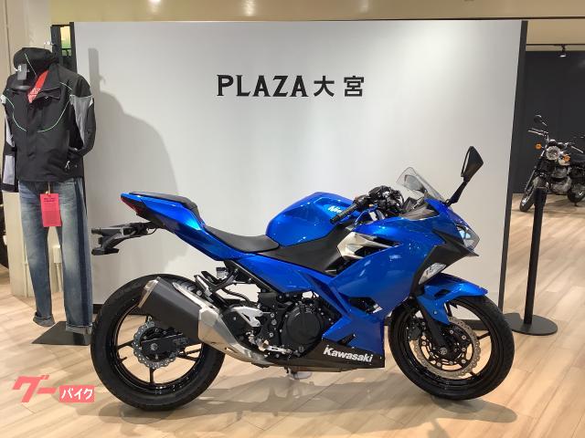 Ｎｉｎｊａ　２５０　ＵＳＢ　ＥＴＣ２．０　レバー