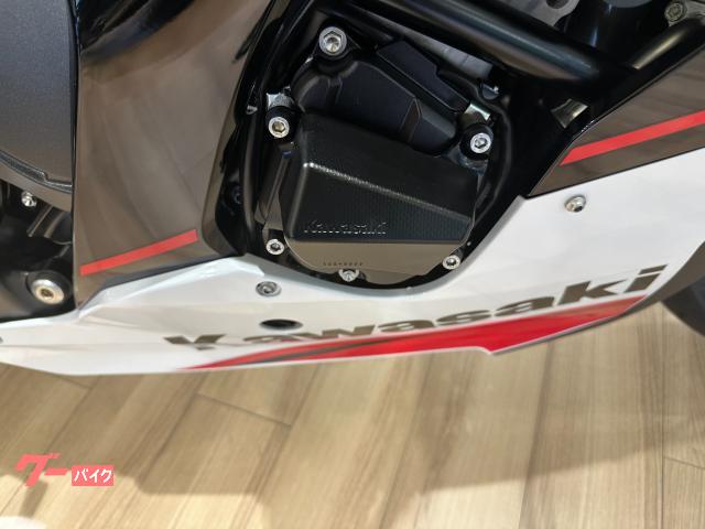 カワサキ Ninja ZX－10R KRTED ETC グリップ