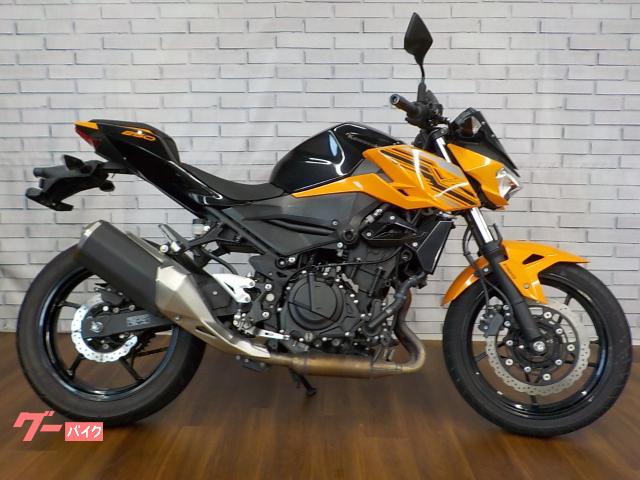 Ｚ２５０
