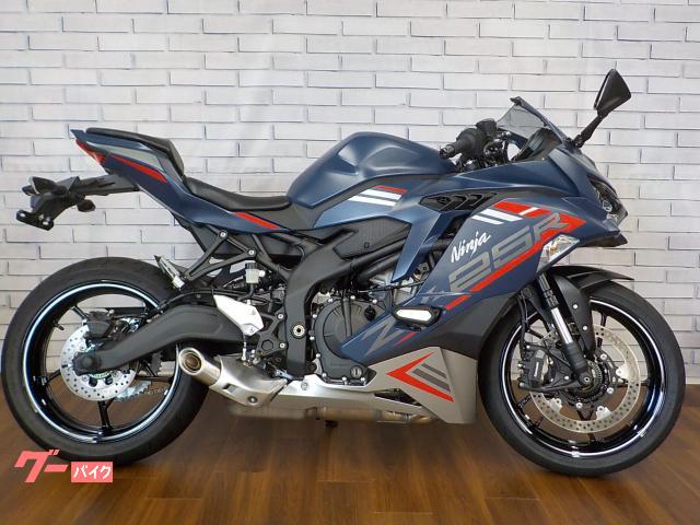 Ｎｉｎｊａ　ＺＸ−２５Ｒ　ＳＥ
