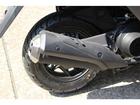 ホンダ ＮＸ１２５　国内未発売モデルの画像（埼玉県