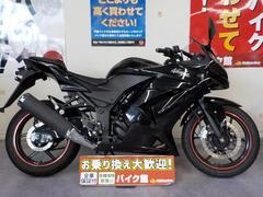 カワサキ　Ｎｉｎｊａ　２５０Ｒ