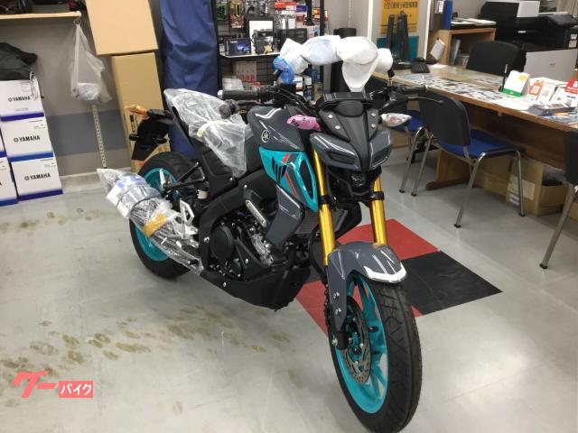 ＭＴ−２５　ＡＢＳ　グレー