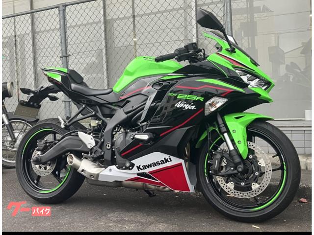 Ｎｉｎｊａ　ＺＸ−２５Ｒ　ＳＥ