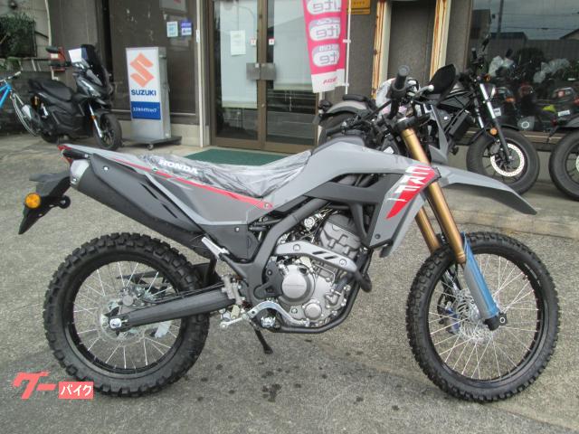 ＣＲＦ２５０Ｌ　２０２５年最新モデル　ローダウンタイプ　スウィフトグレー