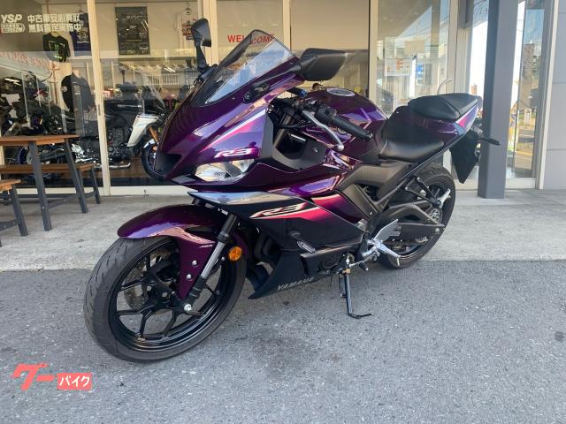 ＹＺＦ−Ｒ３　オプション付き