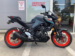 ヤマハ　ＭＴ−０３（３２０ｃｃ）