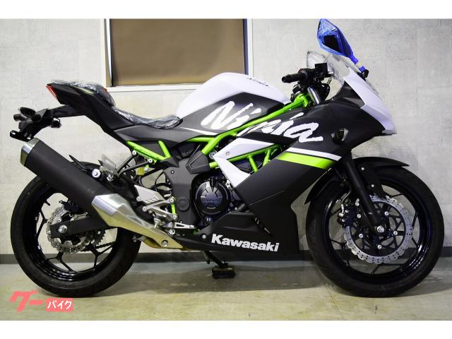 カワサキ ｎｉｎｊａ ２５０ｓｌ 並行輸入車 ３７６０６ 有 ｔｏｗｎｓ 新車 中古バイクなら グーバイク