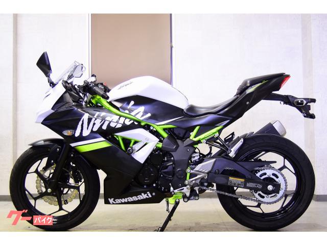 カワサキ Ｎｉｎｊａ　２５０ＳＬ　インドネシア仕様・インポートモデル・ワンオーナー車　４４６５４の画像（宮城県