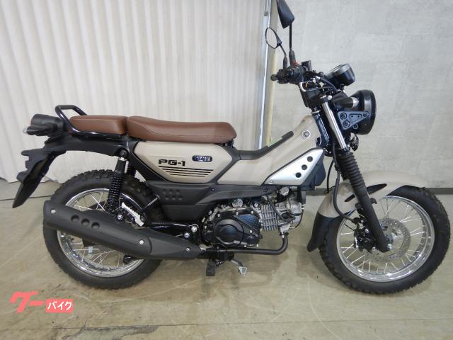 ＰＧ−１　ＦＩインジェクション・ベトナムＹＡＭＡＨＡ並行輸入車・国内未発売モデル　６７３５０