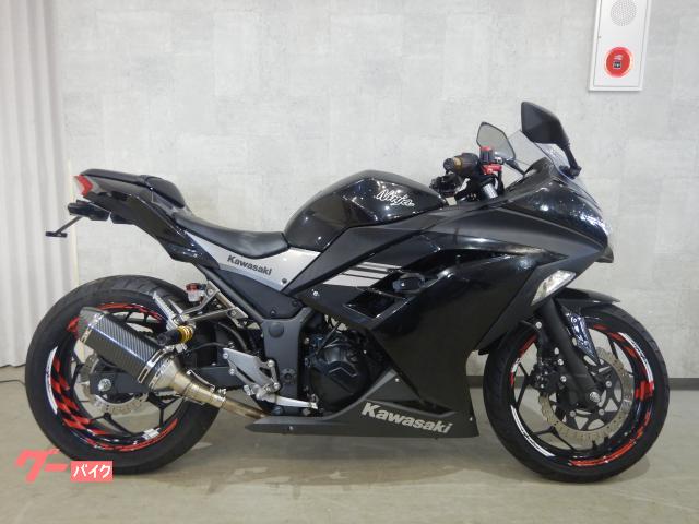 Ｎｉｎｊａ　２５０　ＥＴＣ・社外サイレンサー・フェンダーレス他付　６８１９５