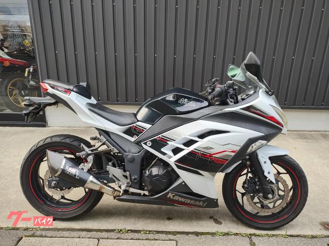 Ｎｉｎｊａ　２５０　ＳＥ　ＡＢＳ　ヨシムラサイレンサー付ワンオーナー車　７１００５