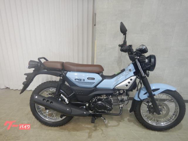 ＰＧ−１　ベトナムＹＡＭＡＨＡ並行輸入車・国内未発売モデル　６７３３３