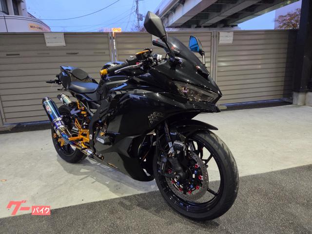 カワサキ Ninja ZX－25R ナイトロンリヤサス・ナサート