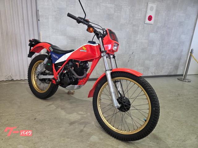 車両情報:ホンダ TLR200 | （有）TOWNS | 中古バイク・新車バイク探し