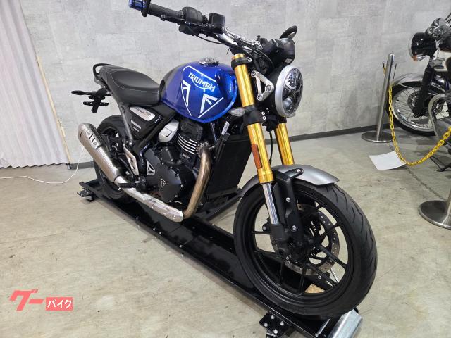 TRIUMPH 400 2024 73861 — миниатюра 4