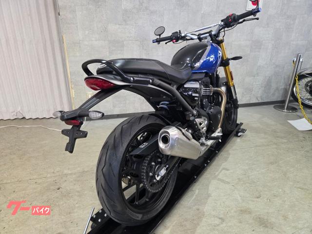 TRIUMPH 400 2024 73861 — миниатюра 6