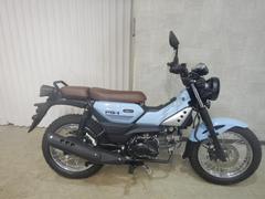ヤマハ　ＰＧ−１　ベトナムＹＡＭＡＨＡ並行輸入車・国内未発売モデル　６７３３２
