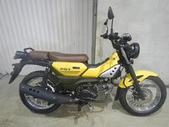 ヤマハ　ＰＧ−１　ベトナムＹＡＭＡＨＡ並行輸入車・国内未発売モデル　６７３６１