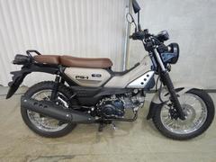 ヤマハ　ＰＧ−１　ＦＩインジェクション・ベトナムＹＡＭＡＨＡ並行輸入車・国内未発売モデル　６７３５０