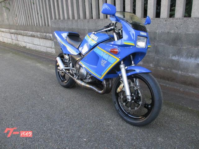 ヤマハ TZR250 1KT フレームアルマイト加工 城北ムラカミ