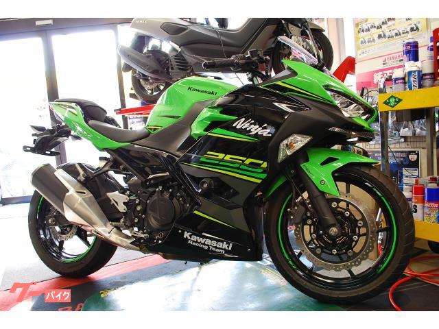 Ｎｉｎｊａ　２５０／２０２３ローダウン＆ＫＲＴＥｄｉｔｉｏｎ１８仕様