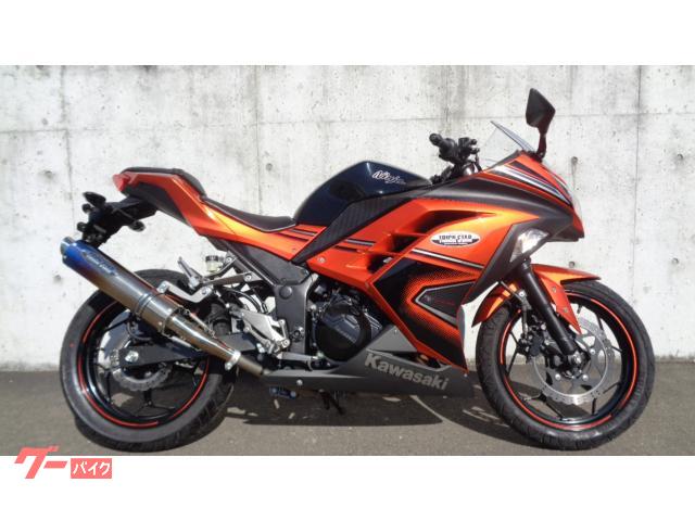 Ｎｉｎｊａ　２５０