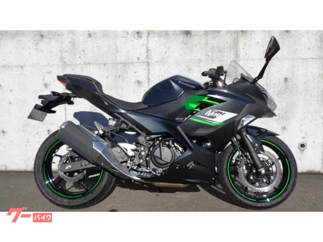 Ｎｉｎｊａ　２５０