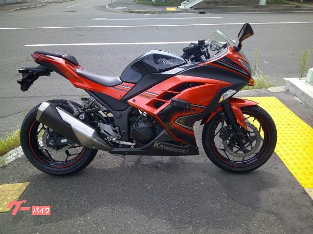 Ｎｉｎｊａ　２５０　ＳＥスペシャルエディション　ノーマル