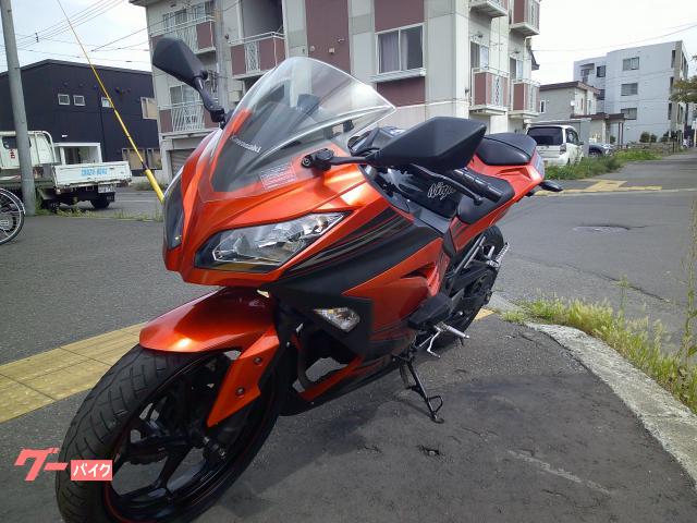 カワサキ Ninja 250 SEスペシャルエディション ノーマル