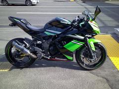 カワサキ　Ｎｉｎｊａ　２５０ＳＬ最終型　ＡＢＳ　ＫＲＴ・Ｅｄｉｔｉｏｎ　ライカスタム　サイレンサー　リアフェンレスキット