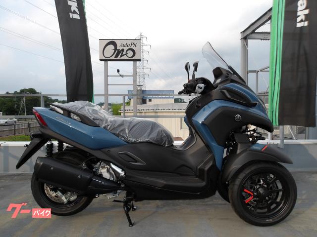 トリシティ３００