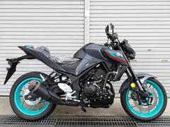 ヤマハ　ＭＴ−０３（３２０ｃｃ）