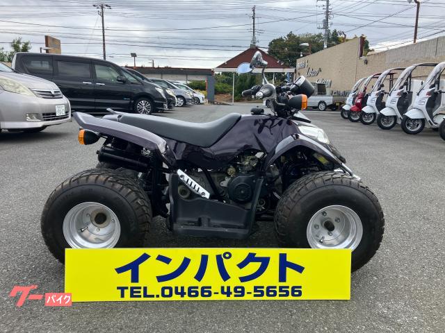 バギーバギー　ミニカー登録済み