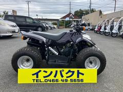 バギー　バギーバギー　ミニカー登録済み